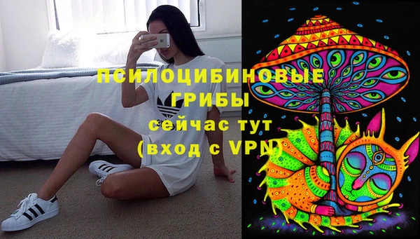 прущий лед Бородино