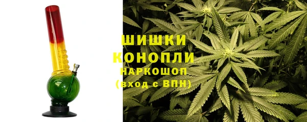 прущий лед Бородино